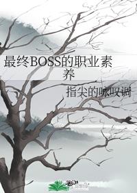 最终BOSS的职业素养