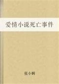 爱情小说死亡事件