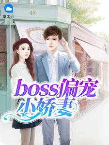 boss偏宠小娇妻