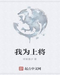 我为上将