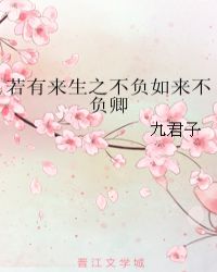 若有来生之不负如来不负卿